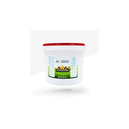 Sauce Doro Algérienne 4.6 kg – Sauce en gros format | H.T.S Halal Traders & Services
