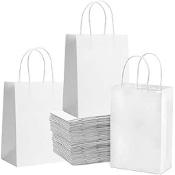 Sac Kraft Blanc 20×20cm - 8/8 - Pack de 1000 | H.T.S. Halal Traders & Services