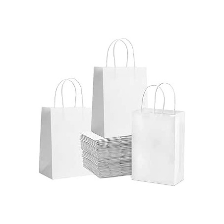 Sac Kraft Blanc 20×20cm - 8/8 - Pack de 1000 | H.T.S. Halal Traders & Services