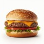 Steak Haché Halal 45gr - Pack de 5.4kg - Steak pour petit burgers | H.T.S. Halal Traders & Services