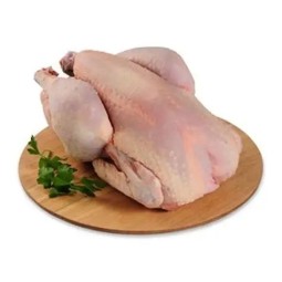 Poulet PAC Frais Halal – Carton 12kg Qualité Professionnelle | H.T.S. Halal Traders & Services