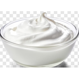 Président Crème Fraîche 5L – Crème onctueuse pour cuisine professionnelle | Halal Traders & Services