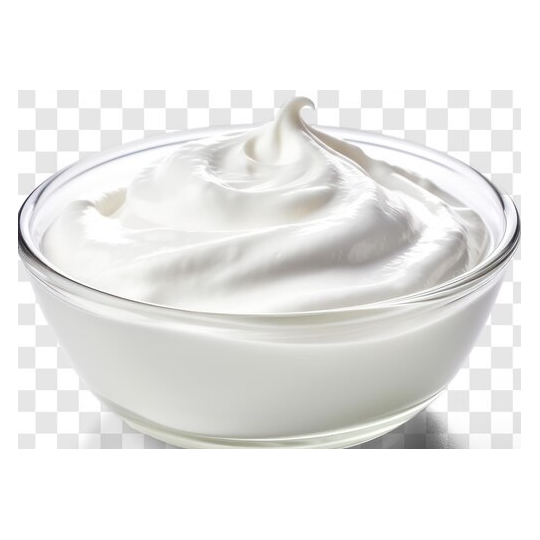 Président Crème Fraîche 5L – Crème onctueuse pour cuisine professionnelle | Halal Traders & Services