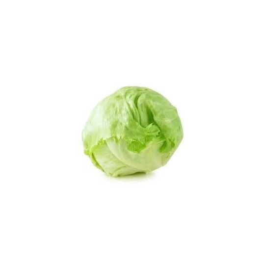 Salad Iceberg 10pcs – Croquante et Fraîche | Halal Traders & Services
