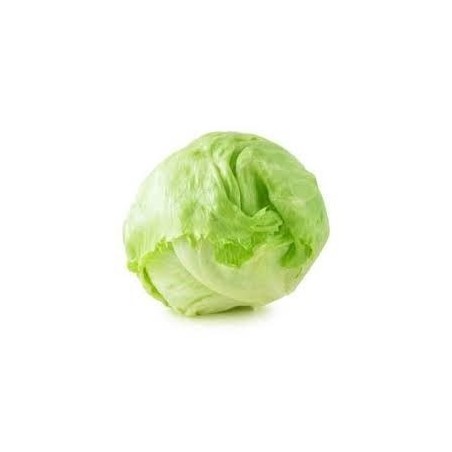 Salad Iceberg 10pcs – Croquante et Fraîche | Halal Traders & Services