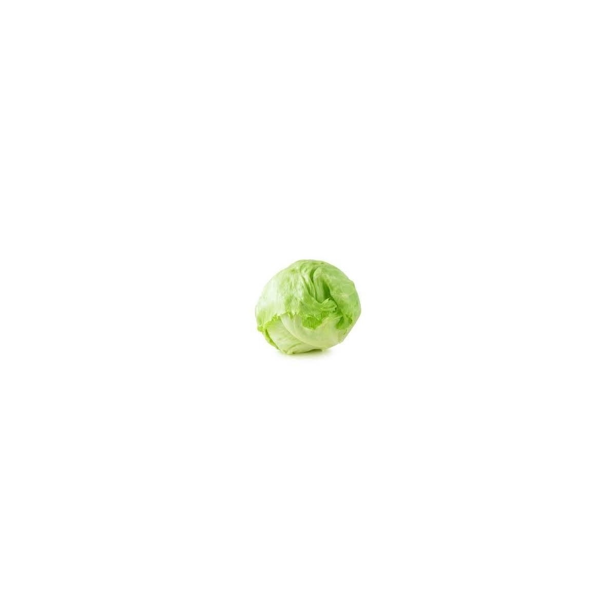 Salad Iceberg 10pcs – Croquante et Fraîche | Halal Traders & Services