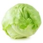 Salad Iceberg 10pcs – Croquante et Fraîche | Halal Traders & Services