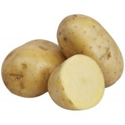 Pomme de Terre Agria 25kg – Idéales pour Frites Maison | Halal Traders & Services