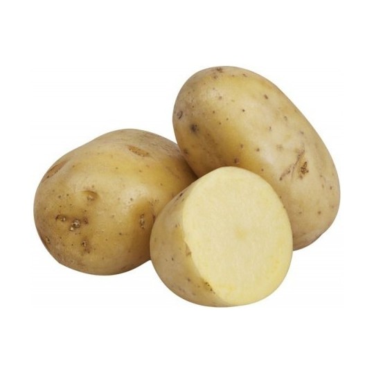 Pomme de Terre Agria 25kg – Idéales pour Frites Maison | Halal Traders & Services