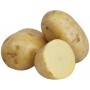 Pomme de Terre Agria 25kg – Idéales pour Frites Maison | Halal Traders & Services