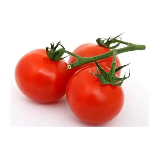 Tomate Fraîche – Saveur et Fraîcheur pour vos Recettes |Halal Traders & Services