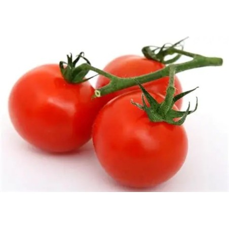 Tomate Fraîche – Saveur et Fraîcheur pour vos Recettes |Halal Traders & Services