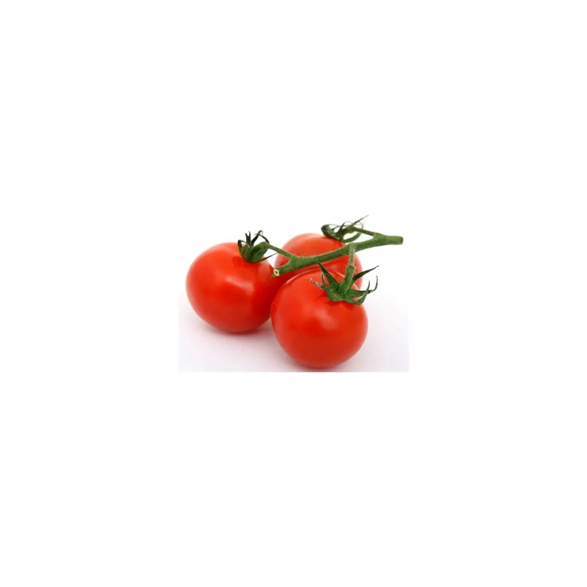 Tomate Fraîche – Saveur et Fraîcheur pour vos Recettes |Halal Traders & Services