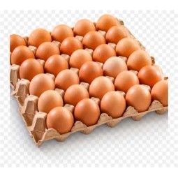 Œufs Frais Plateau 30 – Qualité Pro pour une Cuisine Saine | Halal Traders & Services