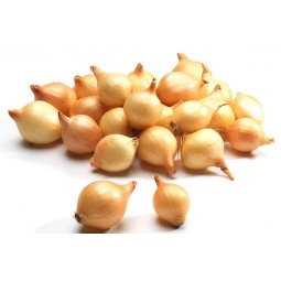 Oignon Frais – Goût Intense et Qualité Pro | Halal Traders & Services