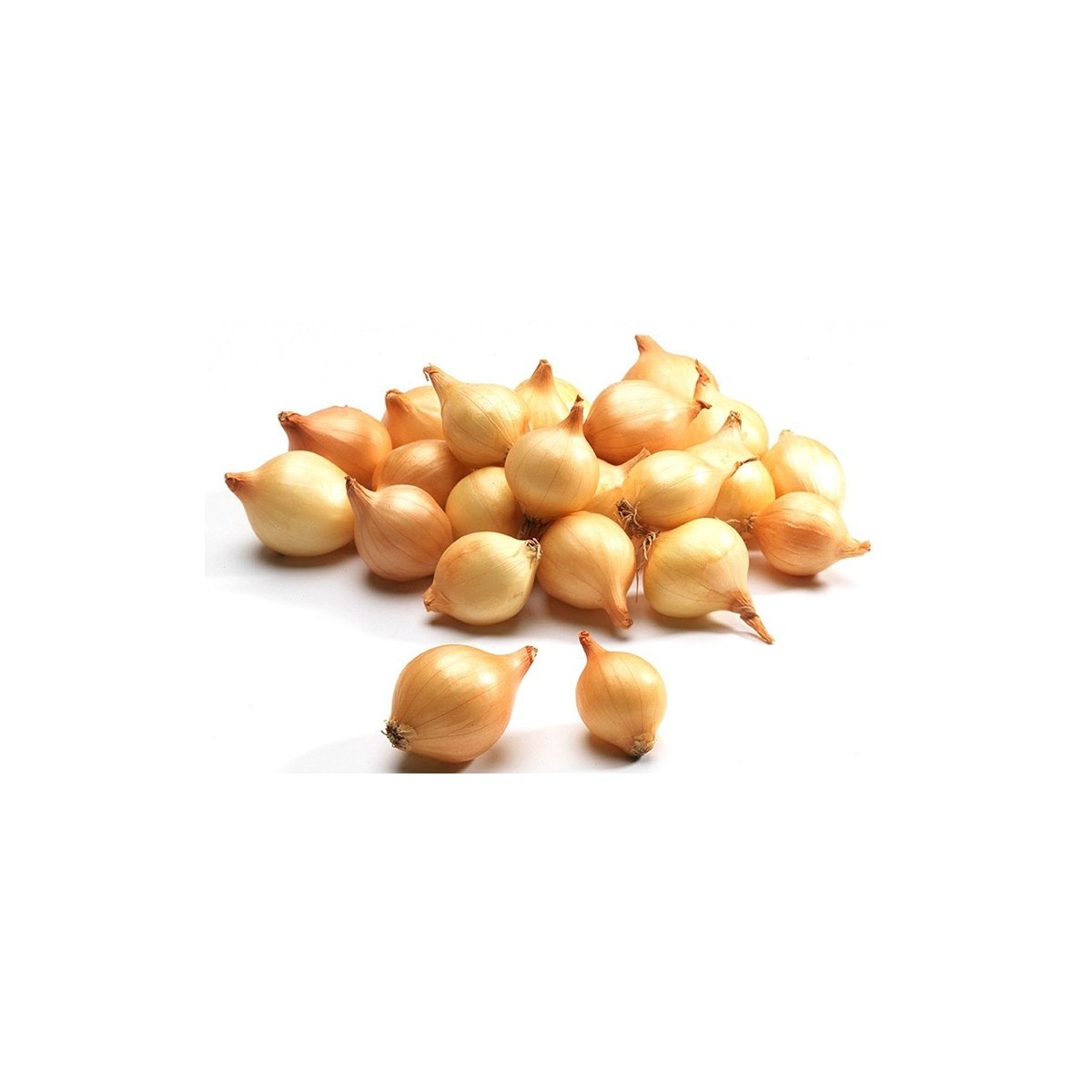 Oignon Frais – Goût Intense et Qualité Pro | Halal Traders & Services