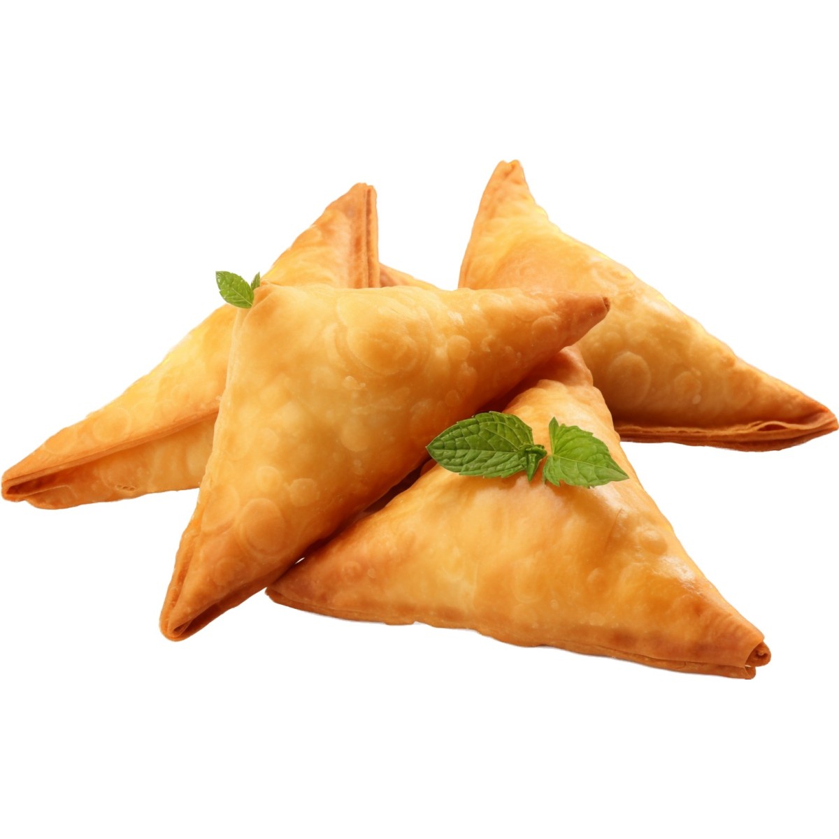 Chicken samossa - Pack de 50– Délices de poulet épicés à partager | H.T.S. Halal Traders & Services