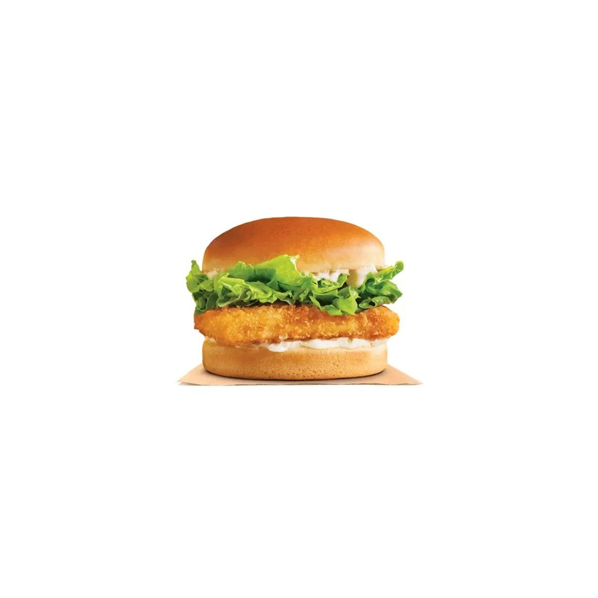 Filets Fish Burger - Pack de 6kg – Praticité et saveur pour pros | H.T.S. Halal Traders & Services