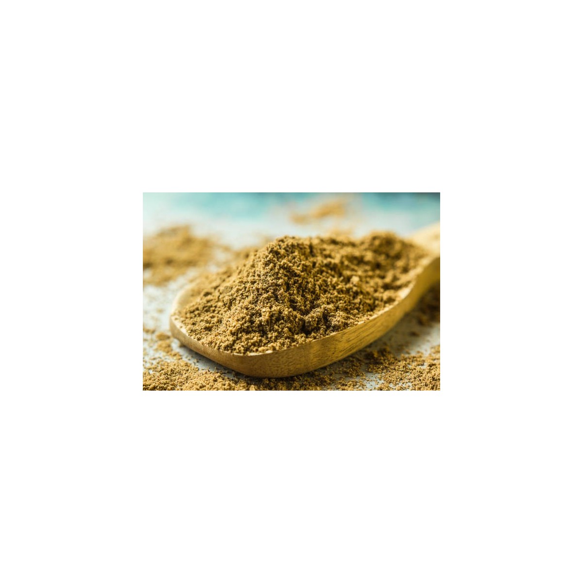 Curry Massala 1kg – L’épice incontournable pour cuisine indienne | H.T.S. Halal Traders & Services