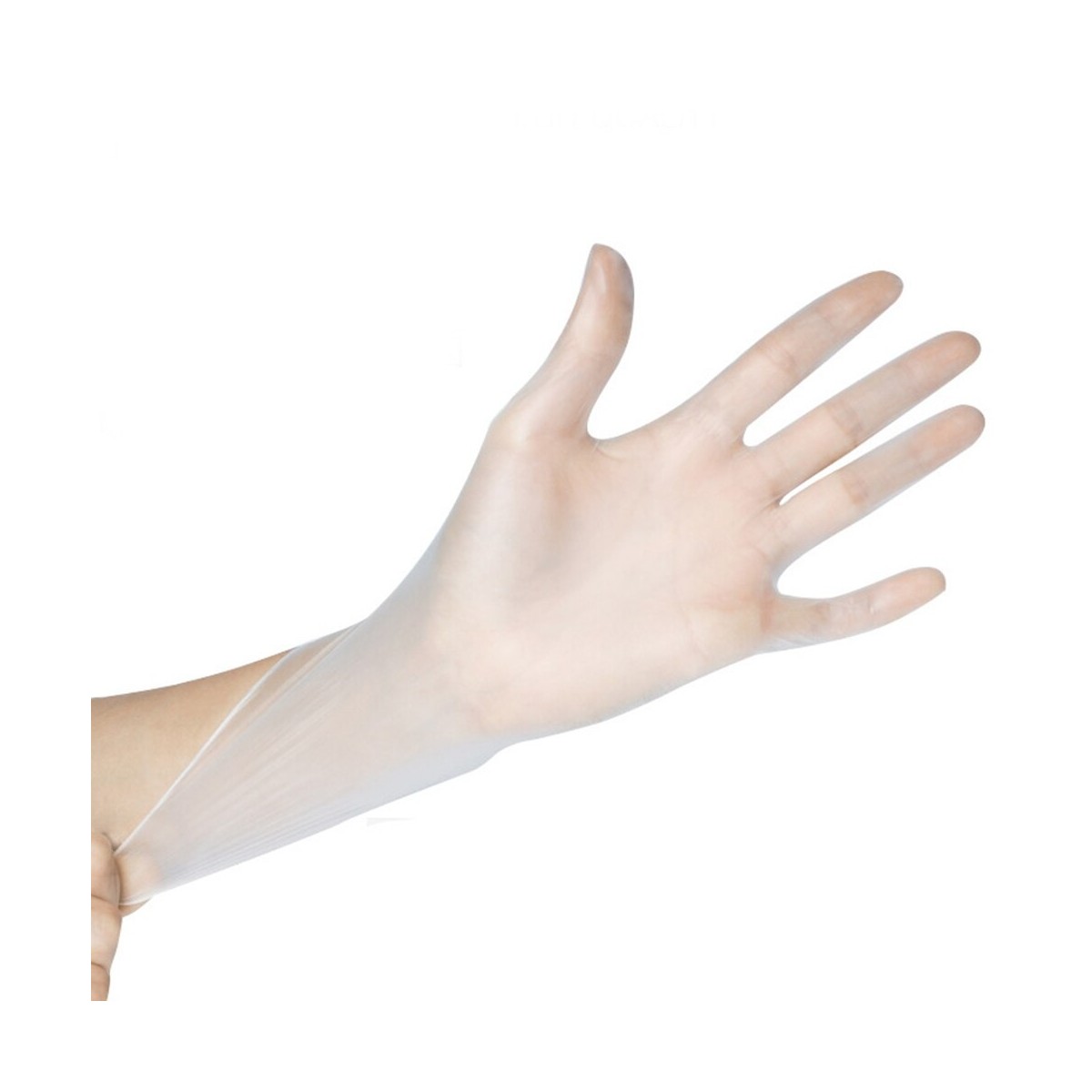 Gants en Vinyle – Boîte de 100 | H.T.S. Halal Traders & Services